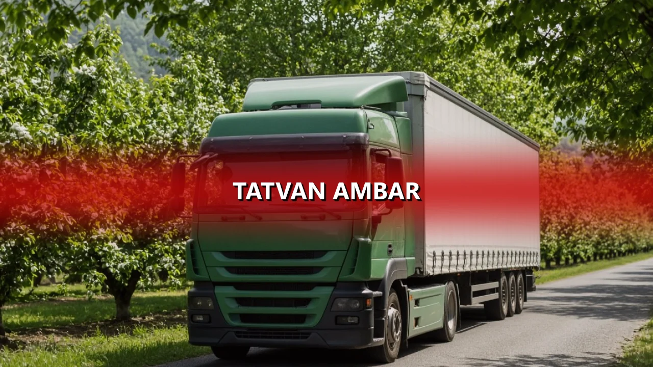 Tatvan Ambar
